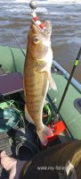 IMG_20260718_102224.jpg