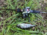IMG20260720102851.jpg