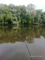 IMG_20260720_172200.jpg