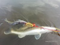 IMG_20260720_182726.jpg