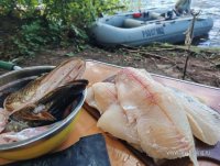 IMG_20260808_142603.jpg