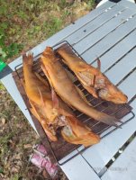 IMG_20260808_144605.jpg