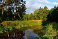 007.JPG