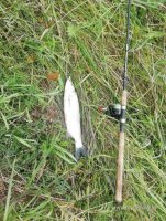 IMG_20260817_073456.jpg