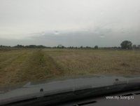 IMG_20260817_082946.jpg