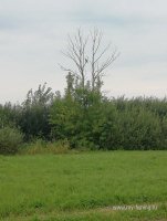 IMG_20260817_093135.jpg
