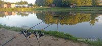 IMG_20260822_061351.jpg