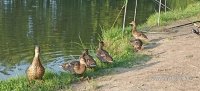 IMG_20260822_182153.jpg