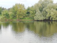IMG_20260823_081216.jpg