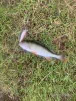 IMG_5639.jpeg