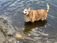 IMG_5666.jpeg