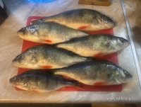 IMG_8088.jpg