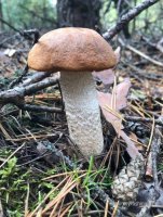 w_clS-NJ51oMNCZI1cjFje6ecxyczyeeNI37zheFbD39iNCzCFt4_LmzAGSSBifLdYnhaIq2F3026QXRwiA4jQeK.jpg