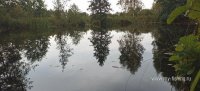 IMG_20260918_103133.jpg