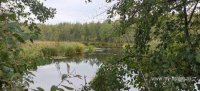 IMG_20260918_103155.jpg