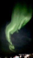 IMG_20260925_103055_095.jpg