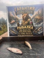 IMG_9606.jpeg
