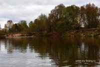 011.JPG