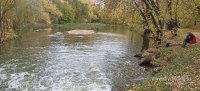 IMG_20261010_083454.jpg