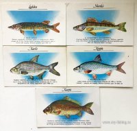 IMG_36066.JPG