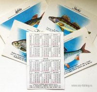 IMG_36067.JPG