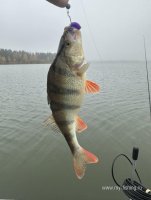 IMG_8118.jpg