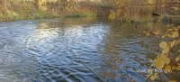 IMG_20261018_132103.jpg