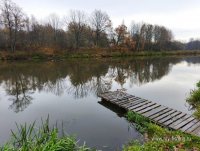 IMG_20261023_083303.jpg