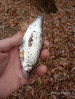 IMG_20261023_160845.jpg