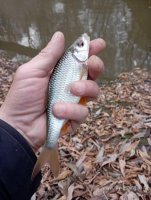 IMG_20261023_160825.jpg