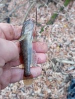 IMG_20261023_161531.jpg