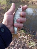 IMG_20261024_133539.jpg