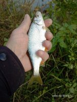 IMG_20261024_151450.jpg