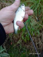 IMG_20261024_163147.jpg