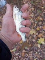IMG_20261024_135915.jpg