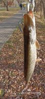 IMG_20261024_105951.jpg