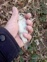 IMG_20261026_112610.jpg