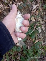 IMG_20261026_113127.jpg