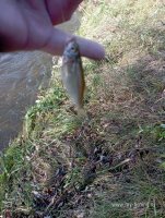 IMG_20261026_115710.jpg