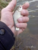 IMG_20261026_120955.jpg
