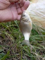 IMG_20261026_123852.jpg