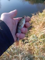 IMG_20261028_094208.jpg