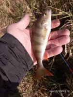 IMG_20261028_122636.jpg