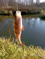IMG_20261028_132738.jpg