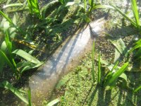 IMG_3146.jpg