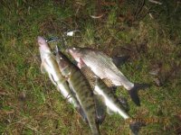 IMG_1796.jpg