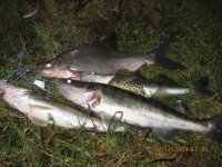 IMG_1797.jpg