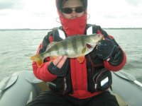 IMG_3171.JPG