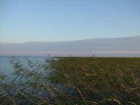DSCF2291.jpg