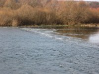 IMG_0466.jpg